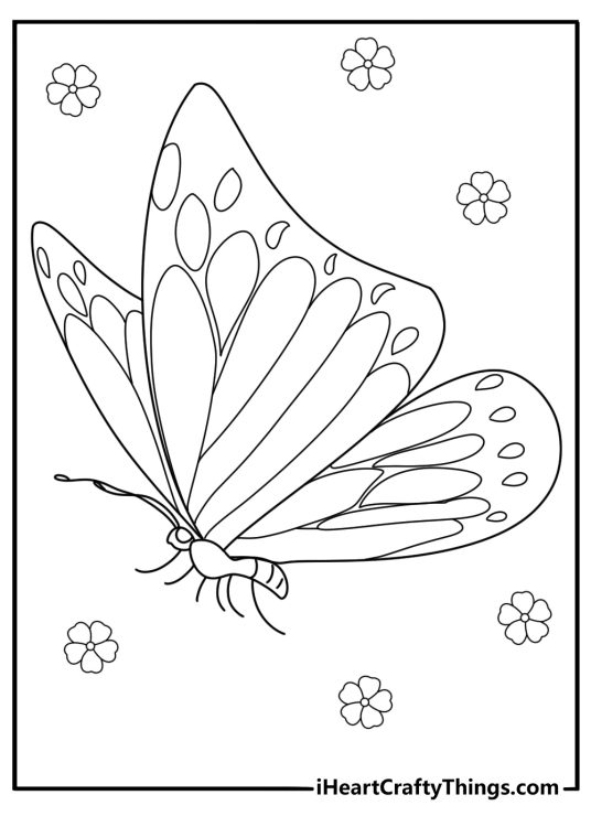 Coloring printable for children presenting stunning butterfly with quite narrow wings