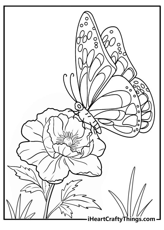 Coloring printable for kids capturing beautiful butterfly flutterring to land in a nice flower garden