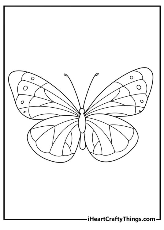 Coloring printable for kids presenting gorgeous butterfly drawn in a simple style
