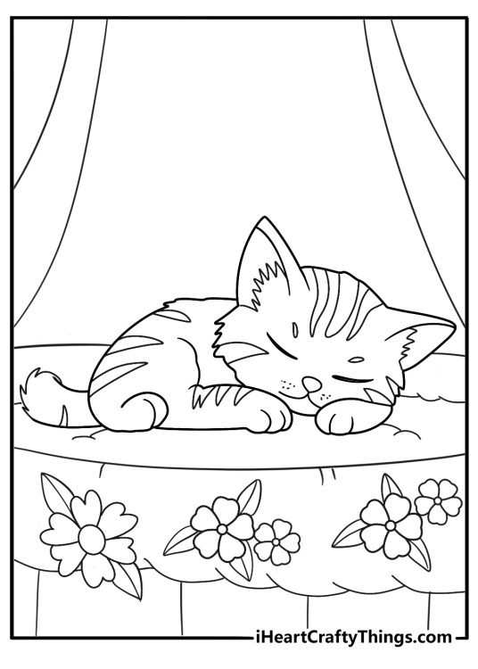 Coloring sheet for kids presenting beautiful cat lying on the bed surrounded by flowers