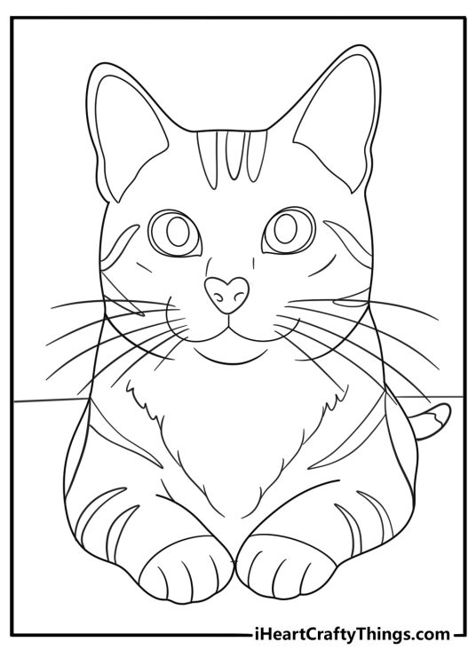 Detailed coloring poster presenting furry cat with long whiskers and heart shaped nose