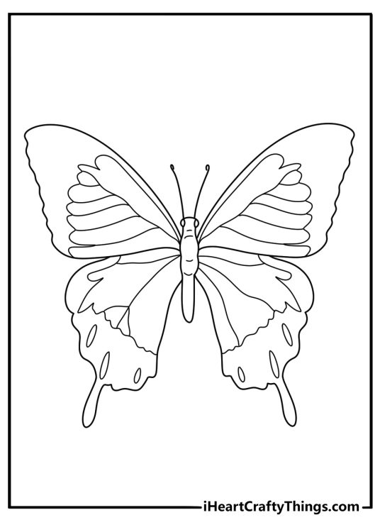 Detailed coloring sheet showing unique looking butterfly with black tinged tips of the wings