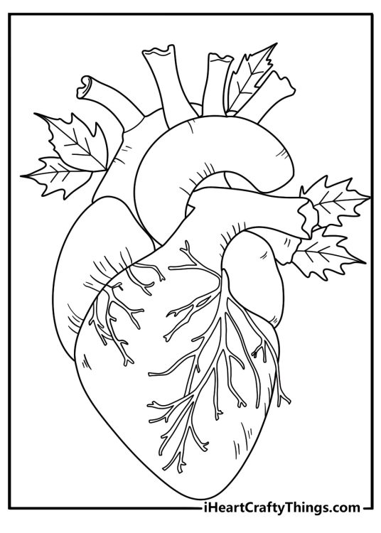Detailed image of a realistic human heart with arteries and veins decorated with leaves all around it