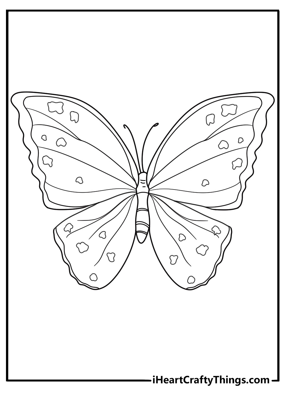 Detailed picture presenting butterfly with straight antennae and interesting splotches all over its wings