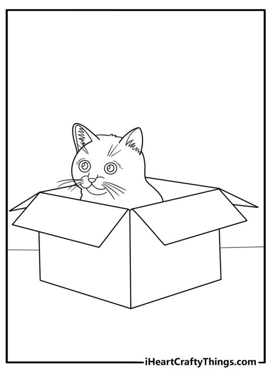 Detailed printable coloring sheet featuring a naughty cat hiding in the noodles box