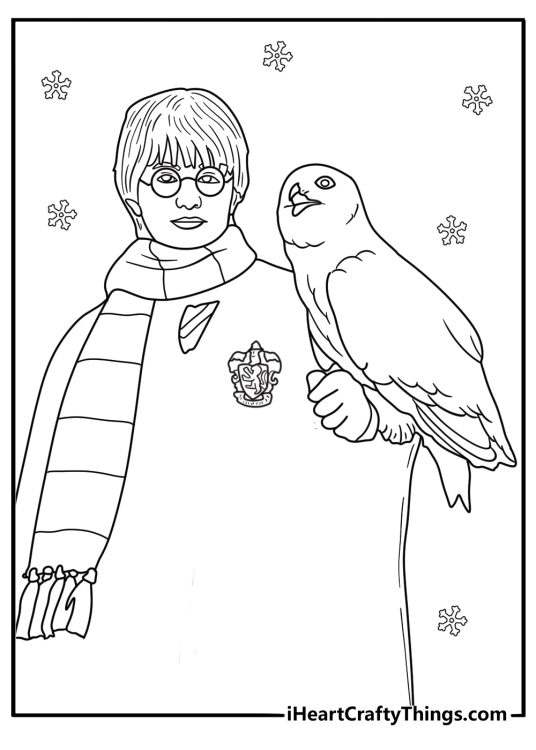 Detailed printable picture presenting Harry Potter holding the owl Hedwig surrounded by snowflakes