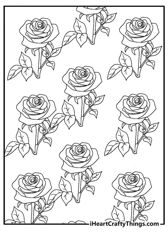 Detailed roses and leaves floral pattern coloring sheet