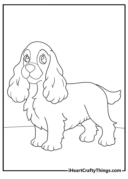 Dog themed image featuring an American cocker spaniel with long fluffy ears and a distinctive pattern on her face