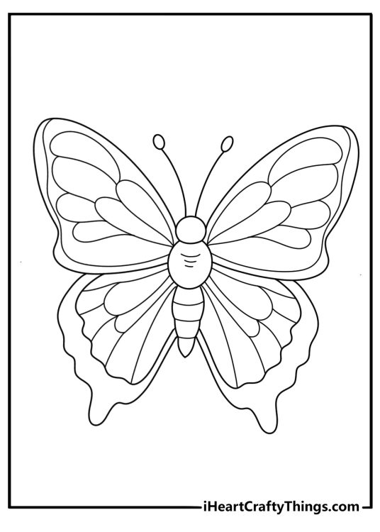 Easy butterfly coloring pages for adults