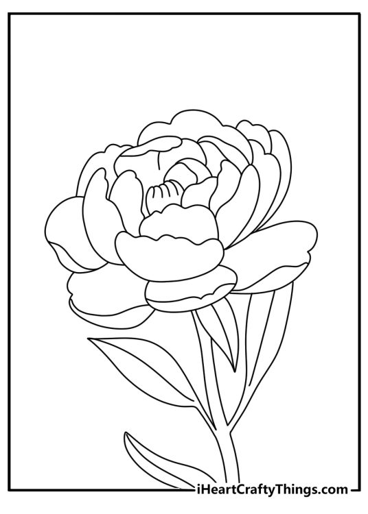 Flower Coloring Pages Of Peony With Leaves