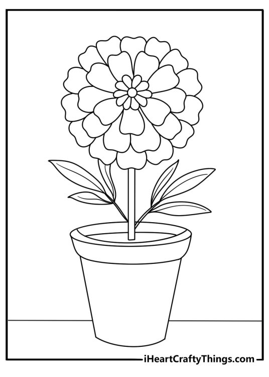 Flower Coloring Pages Of Realistic Pot Marigolds