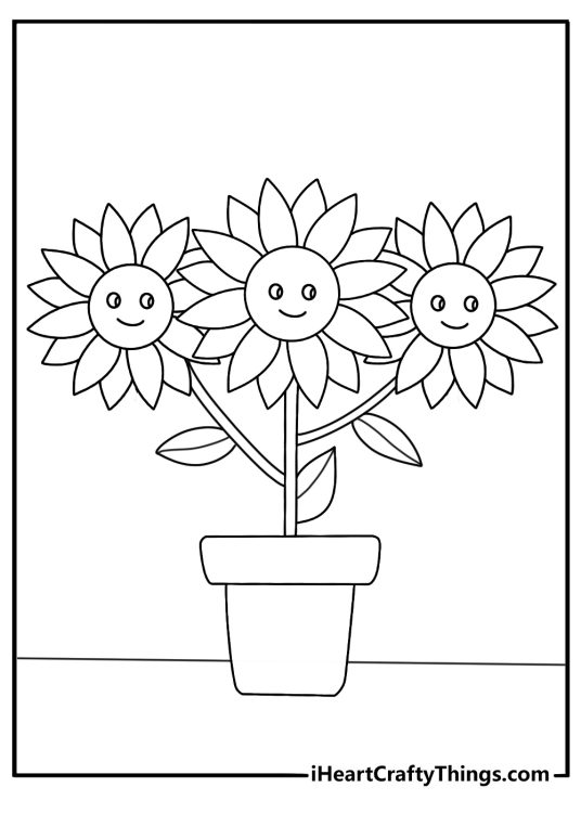 Flower Coloring Pages Of Three Happy Sunflowers In Garden Pot