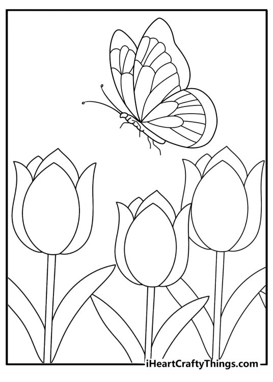 Flower Coloring Pages Of Three Tulips With Butterfly
