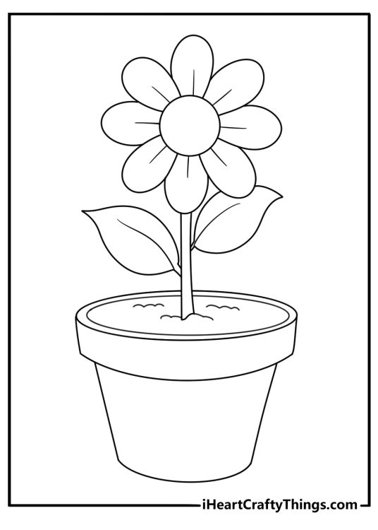 Flower growing in a pot pictures to color
