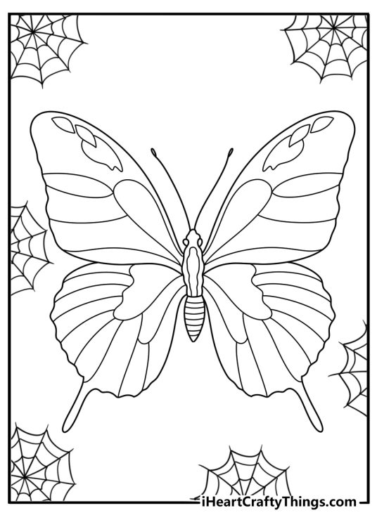 Free coloring sheet presenting unique looking butterfly with a spiders web in the background