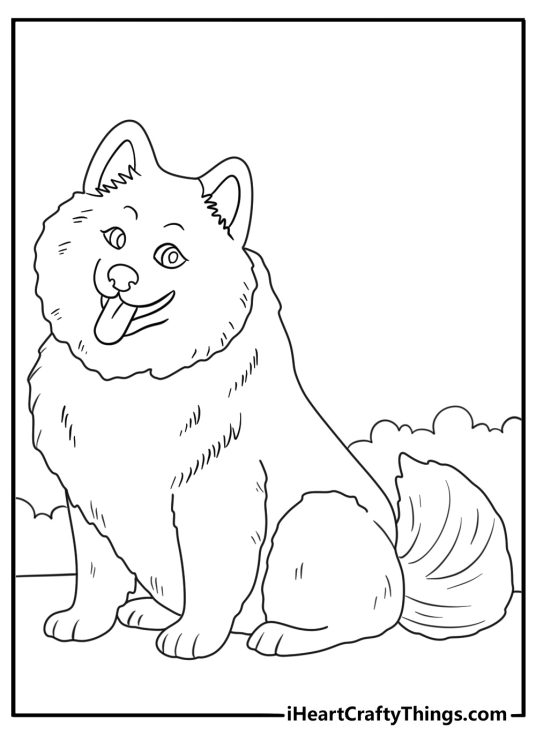 Free printable pdf depicting a fluffy Samoyed breed dog sitting with a smile on its face