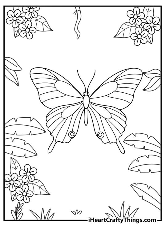 Garden frame of leaves with center butterfly coloring page pdf download