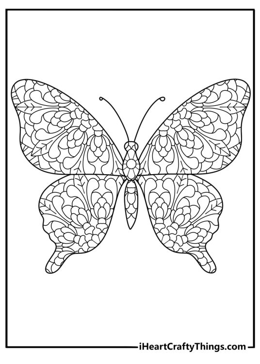 Geometric butterfly mandala wings detailed coloring page for adults pdf