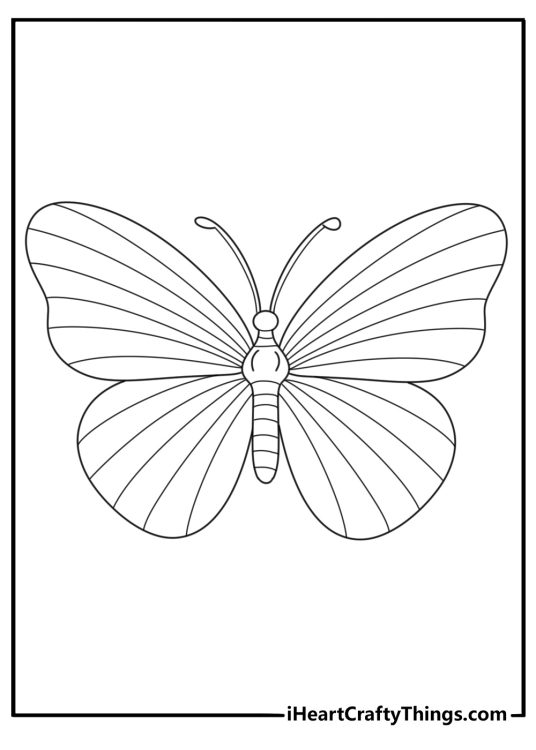 Highly detailed coloring image presenting beautiful butterfly with stripes all over its wings