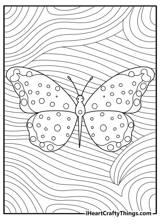 Illustration featuring butterfly with a polka dot pattern all over its wings and swirls in the background