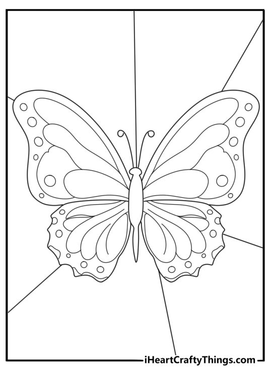 Image featuring beautiful and delicate design butterfly with the background divided into six parts