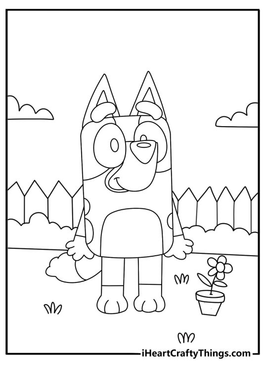Image of a happy Bluey standing in backyard with wooden fence and flower pots behind her