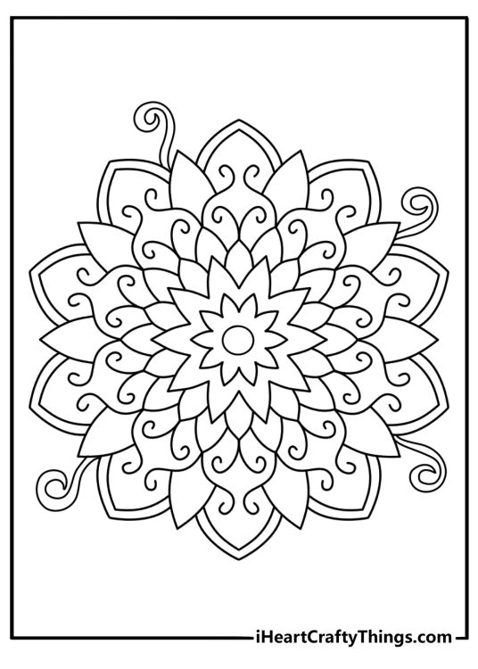 Intricate flower mandala coloring page for adults