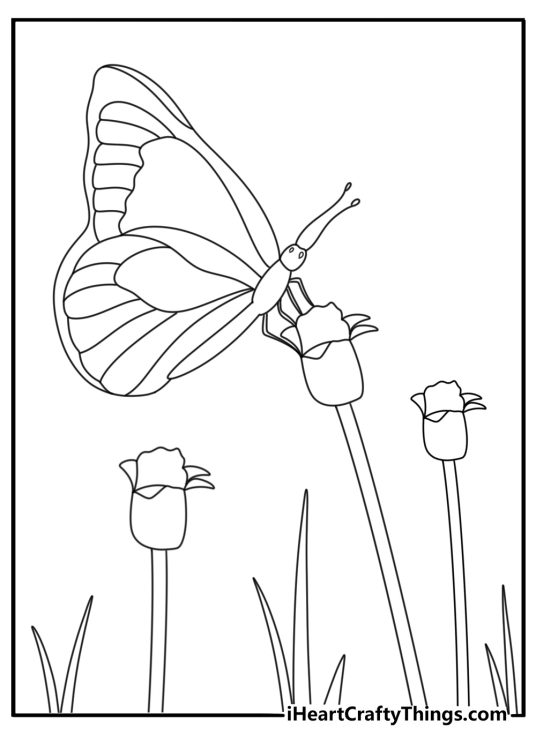 Meadow wildflowers with one butterfly for kids printable coloring page