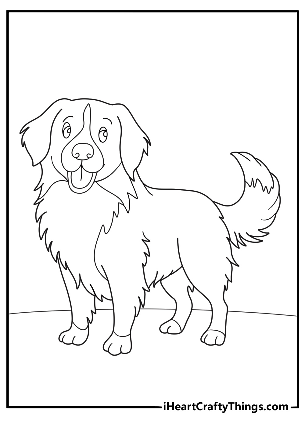 Nova Scotia Duck Tolling Retriever Dog