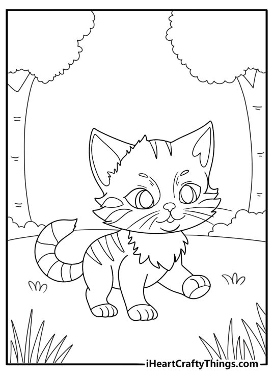 Picture of a little striped kitten hunting outdoors with greenery in the background