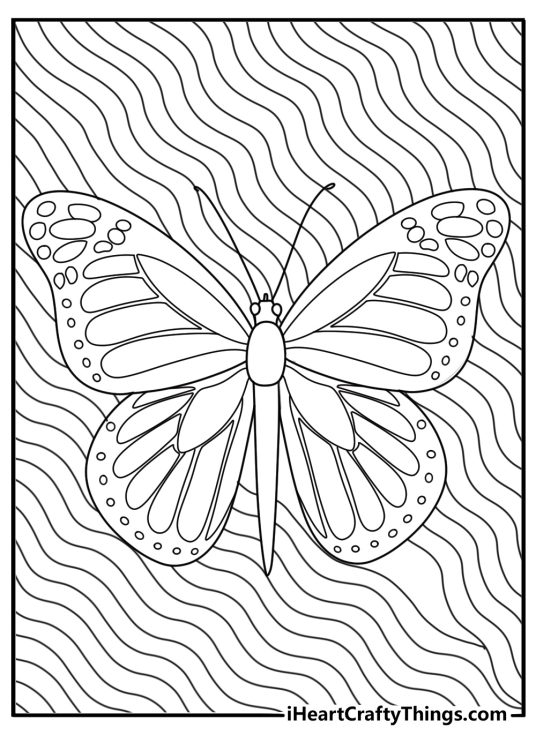 Picture presenting beautiful and intricate design butterfly with wavy lines and swirls in the background