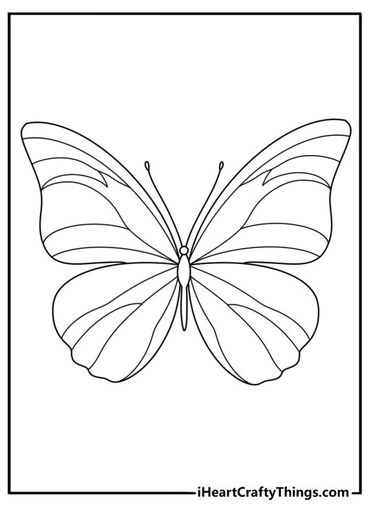 Printable pdf featuring beautiful butterfly with intricate wings and shimmer all around it