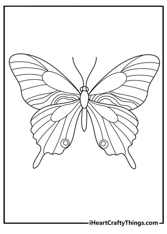 Printable pdf presenting intricate butterfly in the centre of the page with swirls around its wings