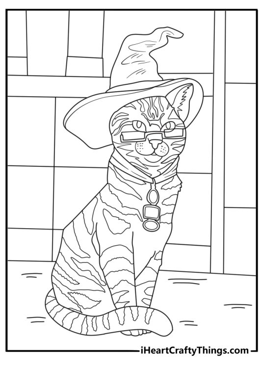 Professor McGonagall in cat form beside tall pointed hat detailed coloring sheet