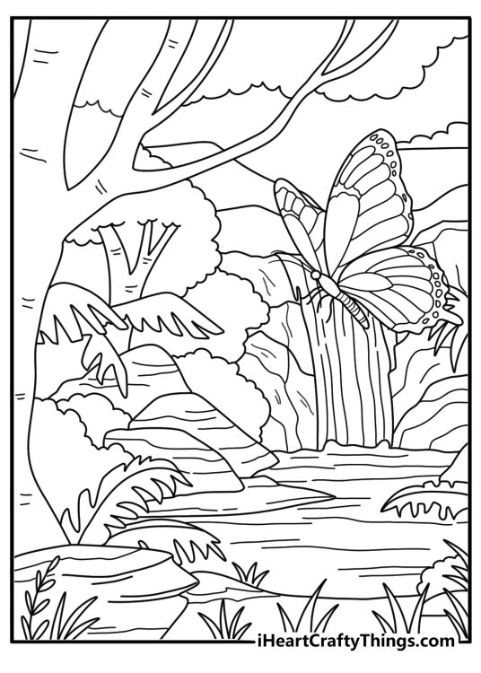 Rainforest waterfall with perched butterfly detailed coloring page for adults