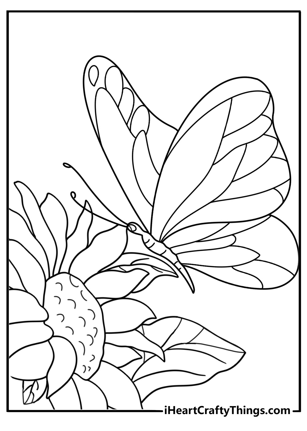 Side view butterfly on sunflower simple coloring page pdf