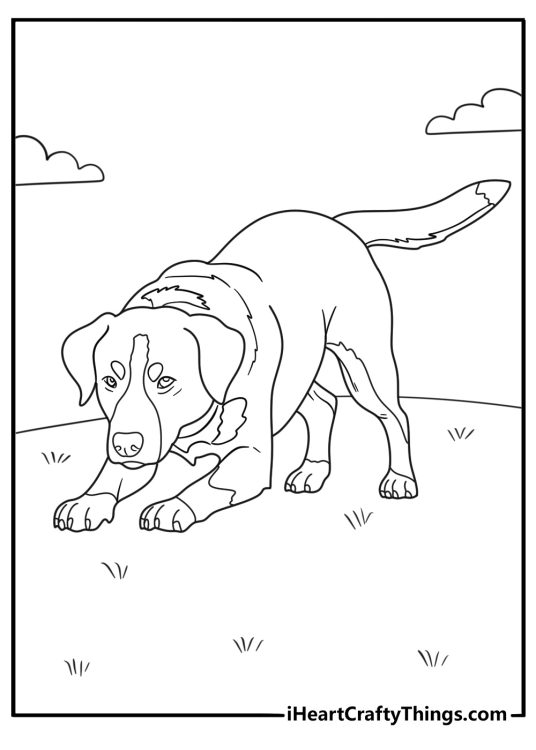 Simple Outline Of Greater Swiss Mountain Dog