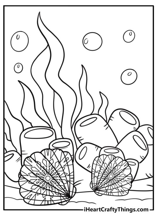 Summer coloring page for adults featuring mandala-style seashells and coral