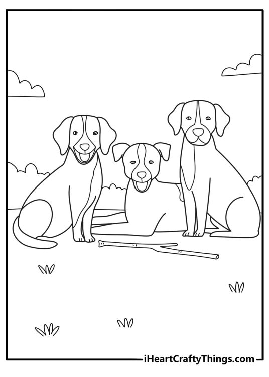 Three Dogs Playing With Large Stick