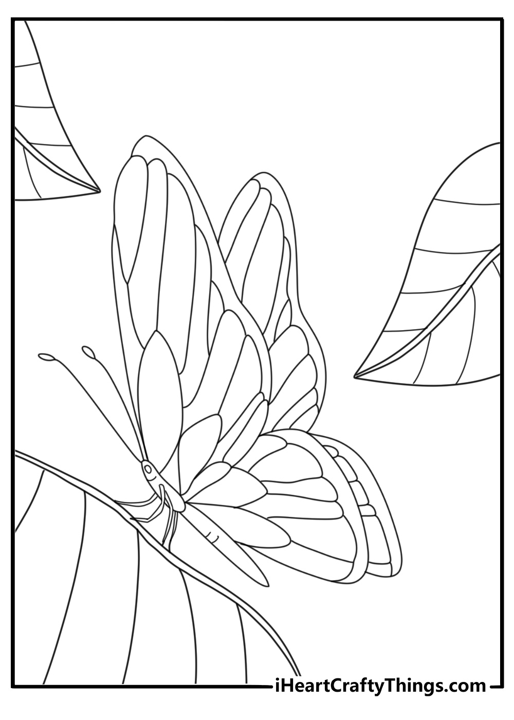 Tropical butterfly on rainforest leaf easy coloring printable download
