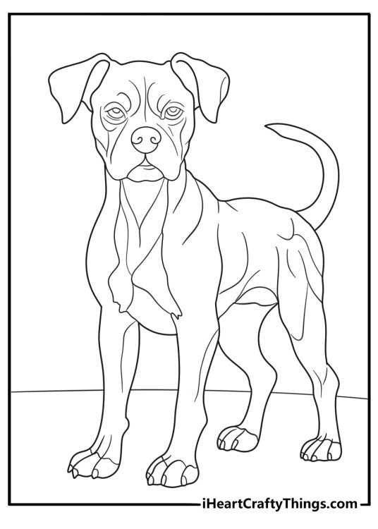 Dog Coloring Pages