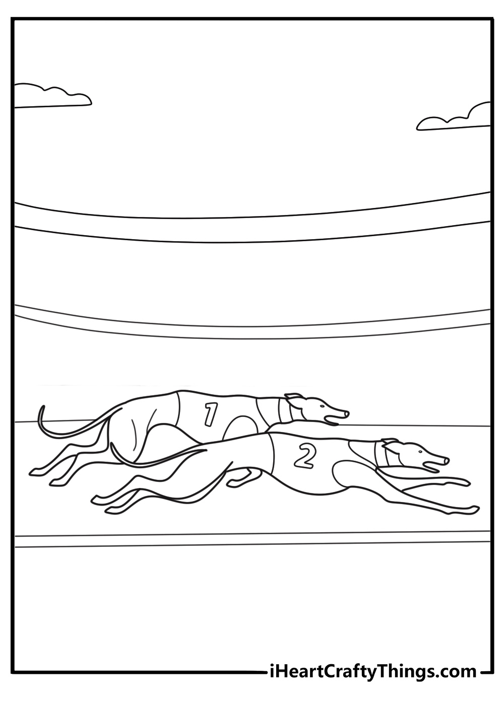 greyhound sprinting on a track fast lean form