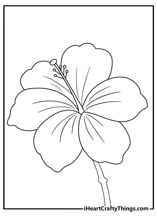 hawaiian flower coloring page