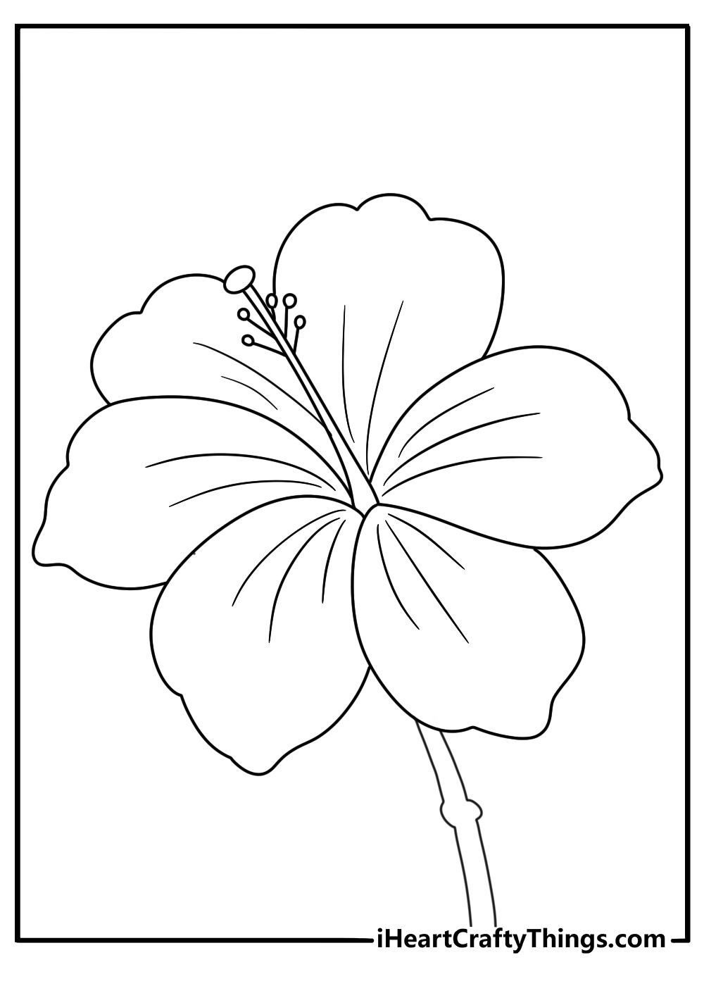hawaiian flower coloring page
