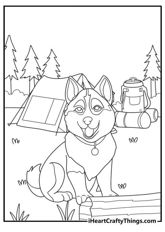 husky by a tent under fireflies in a pine forest