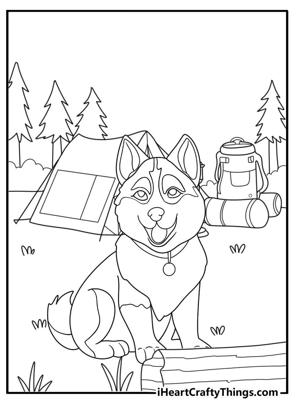 husky by a tent under fireflies in a pine forest