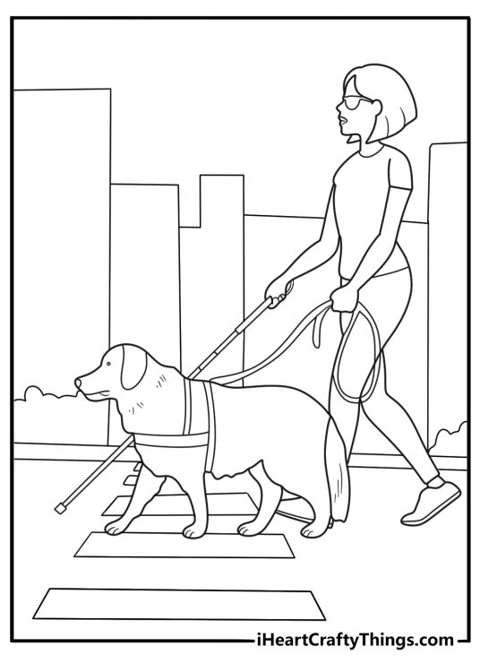 labrador retriever service dog guiding at a crosswalk