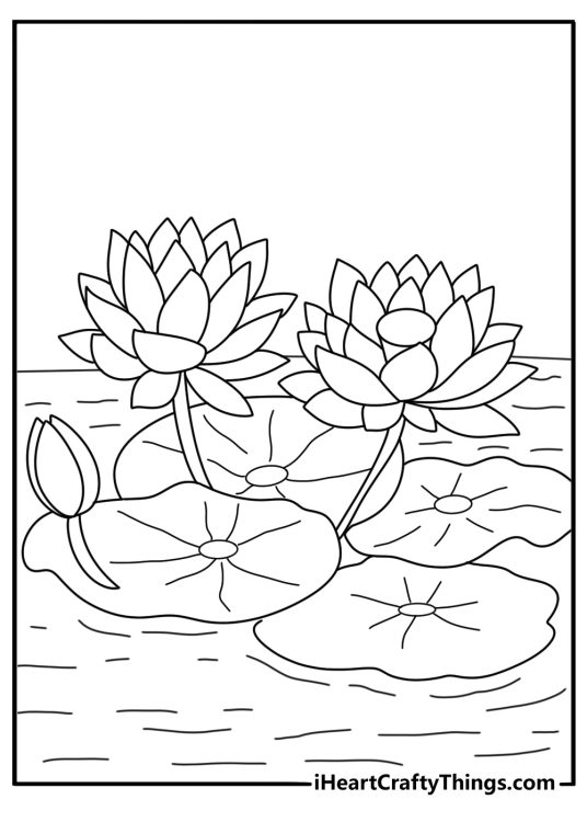 lotus flower coloring page