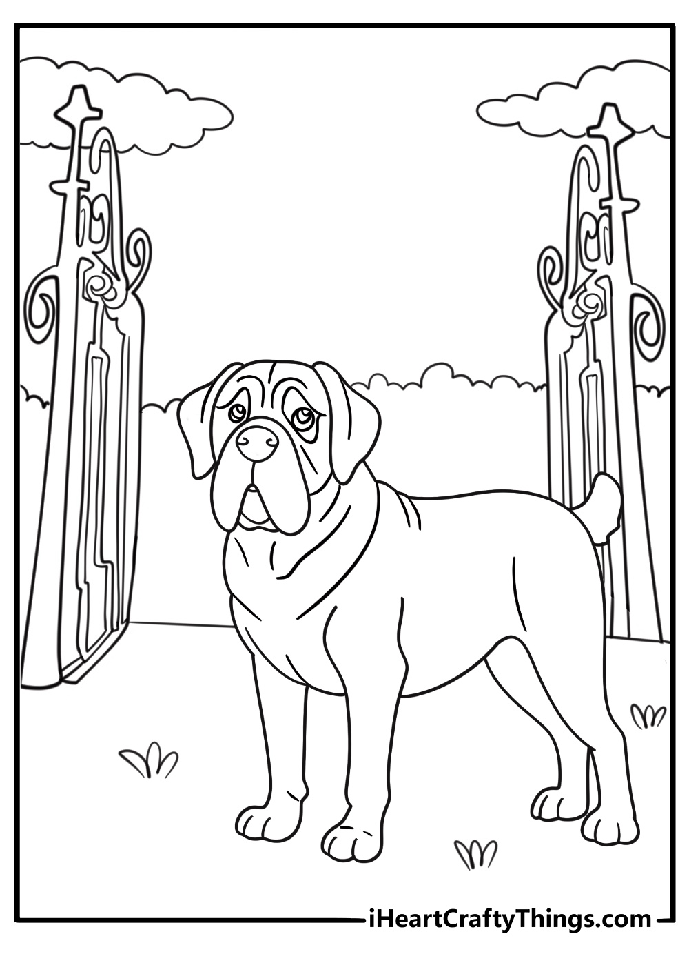 mastiff guarding a garden gate calm sturdy stance