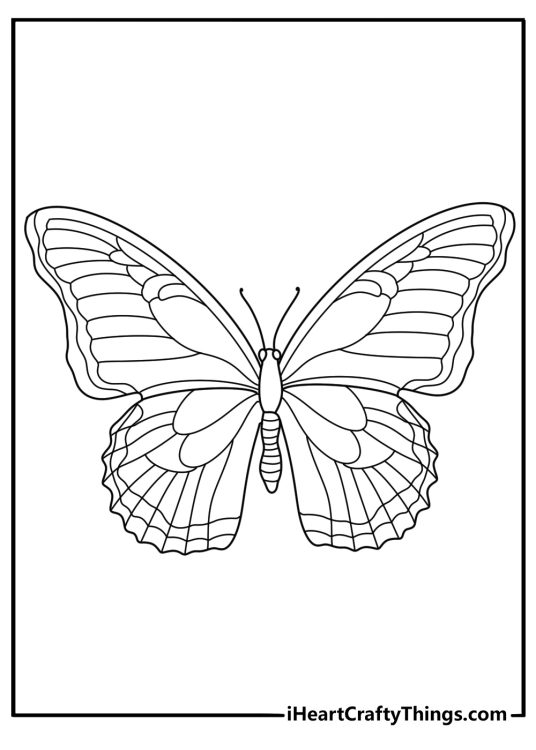 oloring picture presenting butterfly with a really intricate design wings pattern